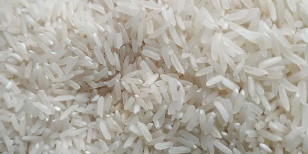 ข้าวสารประชาไท