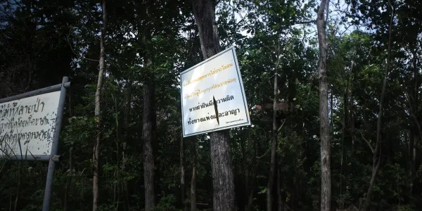 ท้องถิ่นจัดการป่า (1)