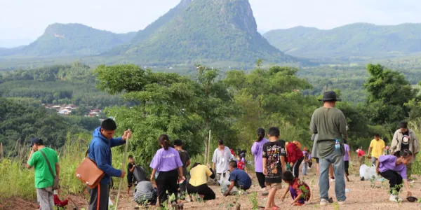 กลุ่มฅนรักษ์บ้านเกิด จ.เลย จัดกิจกรรม 'ปลูกป่าฟื้นฟูภูเขาคืนมา'