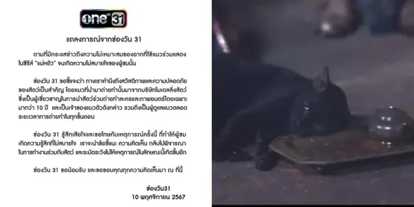 'ช่องวัน 31' แถลงการณ์ขอโทษปมวางยาแมวเข้าฉากละคร 'แม่หยัว' ย้ำจะระวังมากขึ้น