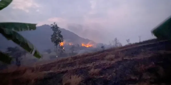 เมียวดี
