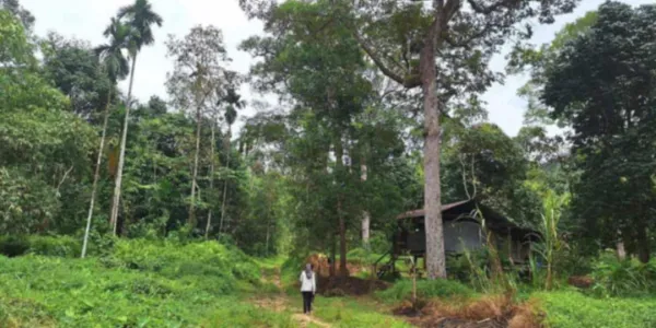 ชาวนราธิวาสจี้อย่าประกาศทับที่ทำกิน จัดตั้งอุทยานน้ำตกซีโป