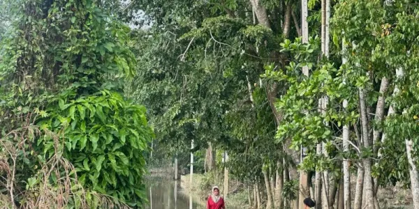 ปภ.รายงานสถานการณ์น้ำท่วมใน 4 จังหวัด ภาคใต้ กระทบ 43,595 ครัวเรือน มีผู้เสียชีวิต 3 คน