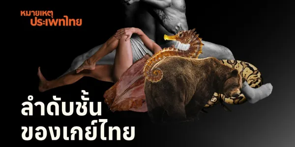 หมายเหตุประเพทไทย