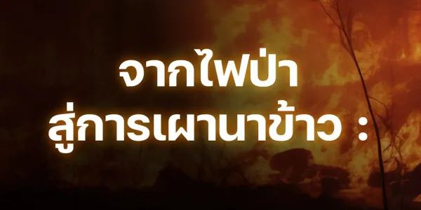 ฝุ่น