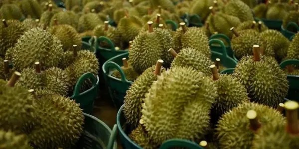 ไทย-EU ร่วมมือการค้าเร่งเจรจา FTA รมว.พาณิชย์มั่นใจส่งออกไทยโต