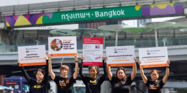 เรียกร้องธนาคารโลก หยุดสนับสนุนฟาร์มสัตว์อุตสาหกรรม