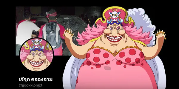 ข้อเสนอเชิงกลยุทธ์: จัดการ 'เจ๊จุกคลองสาม' ด้วยประเด็นลิขสิทธิ์ 'วันพีซ'