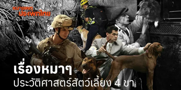 หมายเหตุประเพทไทย