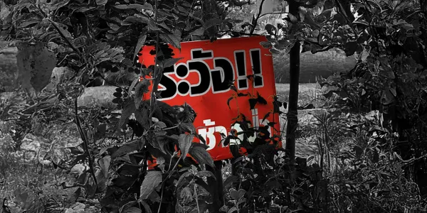ช้างป่า vs คนชายป่า 39 คนถูกเหยียบตาย ปี ‘67  คุยกับนักวิจัย จะอยู่กันยังไงดี  