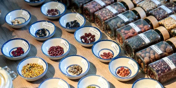 โอกาสทองของผลิตภัณฑ์แพลนต์เบสไทย ตลาดยุโรปเร่งหาโปรตีนทางเลือก