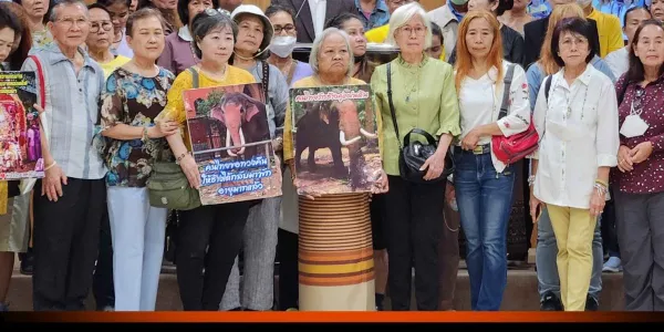 กลุ่มทวงคืนช้างไทย เรียกร้องติดตามช้างไทยในศรีลังกากลับสู่มาตุภูมิ