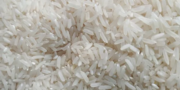 'ไทย-สิงคโปร์' ลงนามความร่วมมือ MOC ค้าข้าว 5 ปี