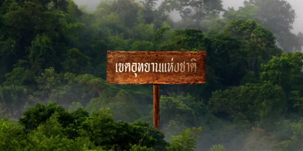 วิพากษ์ลัทธิเผด็จการเชิงนิเวศ 