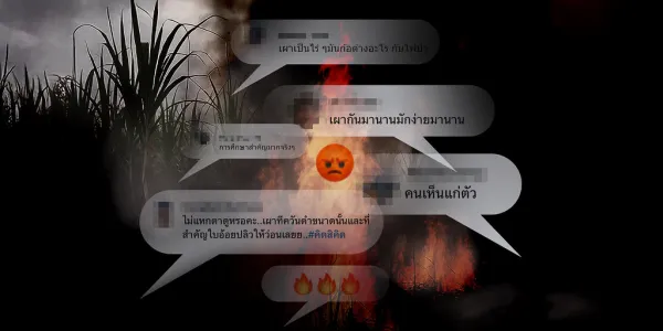 PM 2.5 กับชาวไร่อ้อย (1)  ทำความเข้าใจ ‘จำเลยสังคม’ ทำไมต้องเผา อนาคตไม่เผาได้หรือไม่