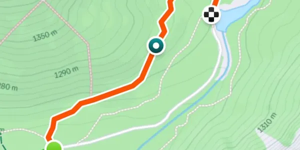 Strava