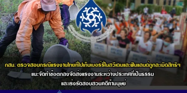 กสม. ชี้แรงงานไทยที่ไปเก็บเบอร์รี่ในสวีเดนและฟินแลนด์ถูกละเมิดสิทธิฯ
