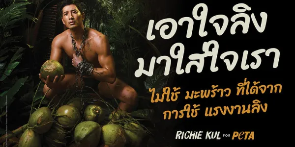 PETA ขึ้นป้ายบิลบอร์ดแคมเปญต่อต้านการใช้แรงงานลิงในอุตสาหกรรมมะพร้าวไทย