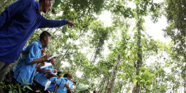 เปิดรายละเอียดมติ ครม. มาตรการแก้ไขปัญหาการอยู่อาศัยและทำกินในพื้นที่ป่าไม้ถาวร