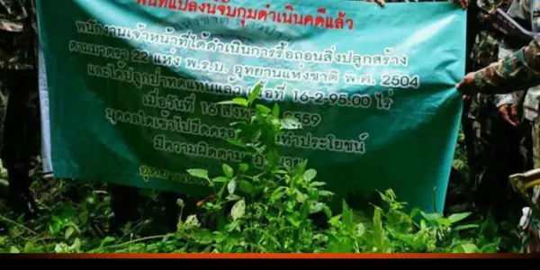 เปิดรับฟังความเห็นร่าง พ.ร.บ.นิรโทษกรรมคดีที่ดิน-ป่าไม้ คืนสิทธิทำกินให้ผู้ยากไร้