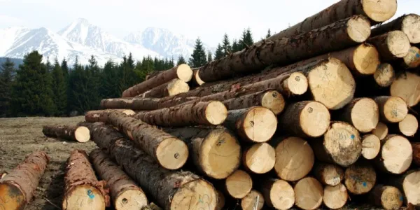 EU ปรับปรุงรายการสินค้า เตรียมพร้อมบังคับใช้กฎหมายป้องกันการทำลายป่า