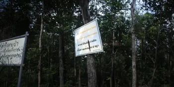 ท้องถิ่นจัดการป่า (1)